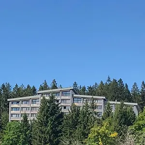Panorama Bayerwald Apartment